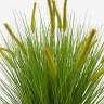 Трава высокая искусственная для декора Пеннисетум лисохвостый  зеленый с колосками Д100 Н100 см