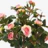 Куст искусственных роз светло-розовых Н30 см (4 ветки без кашпо)