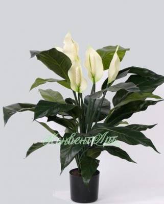 Искусственный цветок Спатифиллум 5 цветков (75 см)