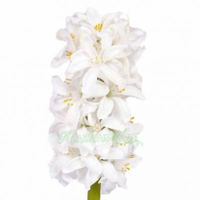 Гиацинт искусственный  цветок 30Н белый