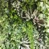 Виноградный куст искусственный 9 веток, 64 листа H35 см,  зеленый
