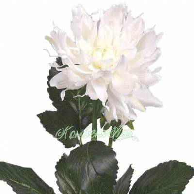 Георгин 75H белый (1 искусственный цветок+2 бутона)