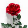 Искусственная новогодняя роза Твиджи красная заснеженная D-10см H 65см