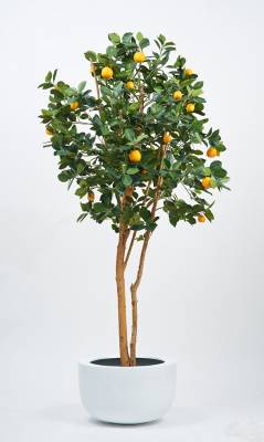 Мандариновое дерево искусственное 180H (23 плода)