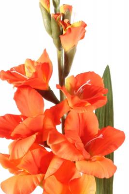 Гладиолус 102H оранжевый (9 искусственных цветков + 4 бутона + 2 листа)