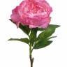 Пион "Anouk" искусственный цветок 16Dx71H темно-розовый (8 листов)