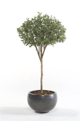 Оливковое дерево искусственное 130H (Зонтичная крона)