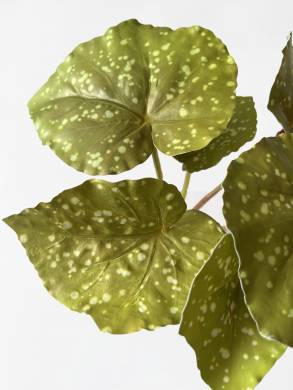 Бегония Королевская Рекс куст искусственный 6 листов, зелёная пятнистая Д25 Н28см