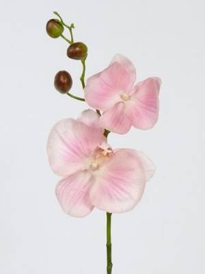 Орхидея искусственная Фаленопсис real-touch 73H розовая (2 цветка + 3 бутона)
