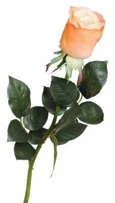 Искусственная роза для декора real-touch "Джессика" 5D*72H персиковая