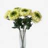 Хризантема Королевская зеленая в наборе 5 шт. искусственные цветы для декора интерьера Н75 см