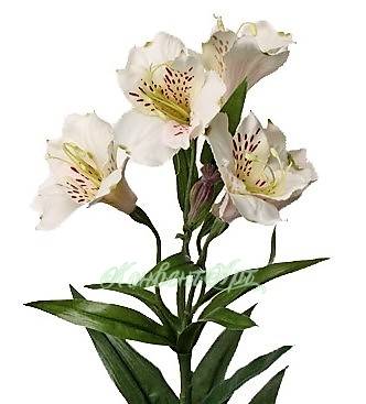 Искусственный цветок Альстромерия Белла 75H белая (5 цветков 3 бутона 18 листьев)