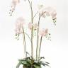 Орхидея искусственная Фаленопсис 130H бело-розоватая искусственная (с корнями и листьями в торфе)