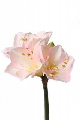 Амариллис искусственный цветок "Лиза" 18Dx54H розовый (3 цветка + 1 бутон)