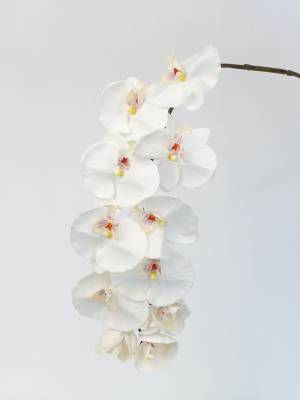Искусственная орхидея фаленопсис "Jumbo" 11 цветков real-touch D11*H102 см белая