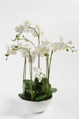 Орхидея Фаленопсис искусственная 80H (с корнями и листьями в белом глянцевом вазоне)