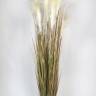 Высокая искусственная трава Пампас Н150 см в черном горшке