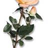 Роза искусственная Элизабет real-touch 85H персиковый (с бутоном)