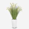 Трава высокая искусственная для декора Пеннисетум лисохвостый  зеленый с колосками Д70 Н100 см