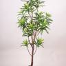 Искусственное растение Драцена 155H (402 листа)