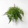 Трава для декора Папоротник Нефролепис искусственный зеленый 13 листов, Д30 Н45см