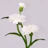 Василек искусственный цветок 35H белый