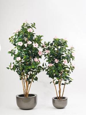Гибискус китайский дерево цветущее искусственное, цв.розовый, ствол натуральный Н180 см