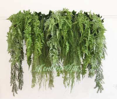 Вертикальное озеленение из искусственных растений Фитостена «Лоза 3» (1мп по основе)