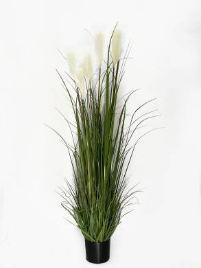 Трава Пампасная (кортадерия) Н150 D35 см высокая искусственная с белыми пушистыми метелками