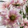Гелениум садовый в наборе 7 шт. нежно-розовые искусственные цветы для декора Н85 см     