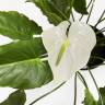 Антуриум цветущий искусственный 21 лист 5 цветков Н105 см в круглом кашпо