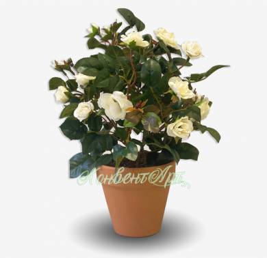 Белые искусственные розы куст Н30 см (4 ветки без кашпо)