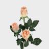 Букет из искусственных роз Джой персиковые 3 шт Н68 см