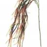 Амарантус ветка декоративная искусственная цвет бордо, Н110 см