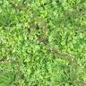 Фитостена из искусственной травы с шеффлерой 1м2