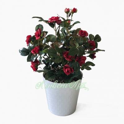 Роза кустовая красная искусственная в белом кашпо 