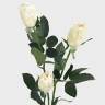 Искусственные розы Джой кремовые 3 шт Н68 см