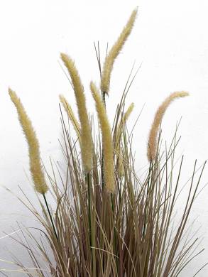 Трава искусственная для декора Пеннисетум лисохвостый с розовыми колосками D30 см, Н90 см