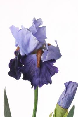 Ирис бородатый искусственный голубой (1 цветок+1 бутон ) Н71 см