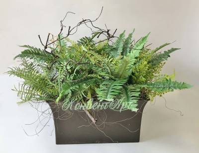 Интерьерная композиция из искусственных растений «Папоротниковый лес» (вставка модуль H20 L35 W35)