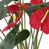 Антуриум Королевский куст цветущий красный искусственный D55 H70 см
