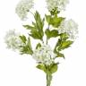 Ветка цветущей Калины бульдонеж (Вибирнум) 85H белая