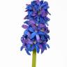 Гиацинт искусственный цветок 30Н темно-голубой