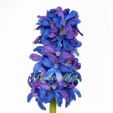 Гиацинт искусственный цветок 30Н темно-голубой