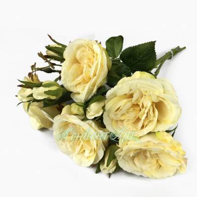 Роза Анна в наборе 5 шт. кремовые искусственные цветы для декора Н37 см   