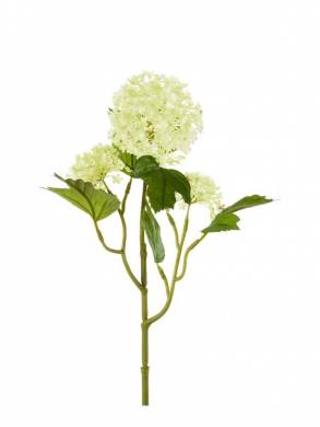 Ветка Калины бульденеж (Вибирнум) цветущая 45H светло-зеленая