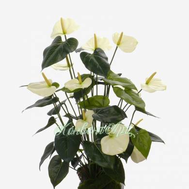 Антуриум искусственный цветок 13Dx80H белый (куст 13 цветков без кашпо)