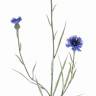 Василек искусственный цветок 70Н 2 цв. 1 бутон темно-голубой