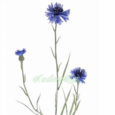 Василек искусственный цветок 70Н 2 цв. 1 бутон темно-голубой
