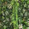 Фитостена из искусственных растений «Сицилия» 1м2					